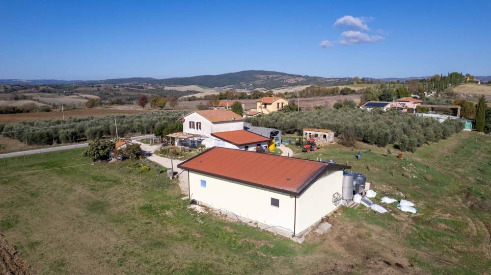 immagine annuncio 6 di 13