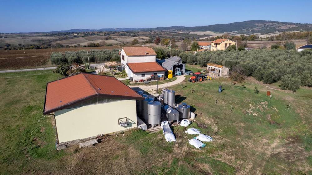 immagine annuncio 7 di 13