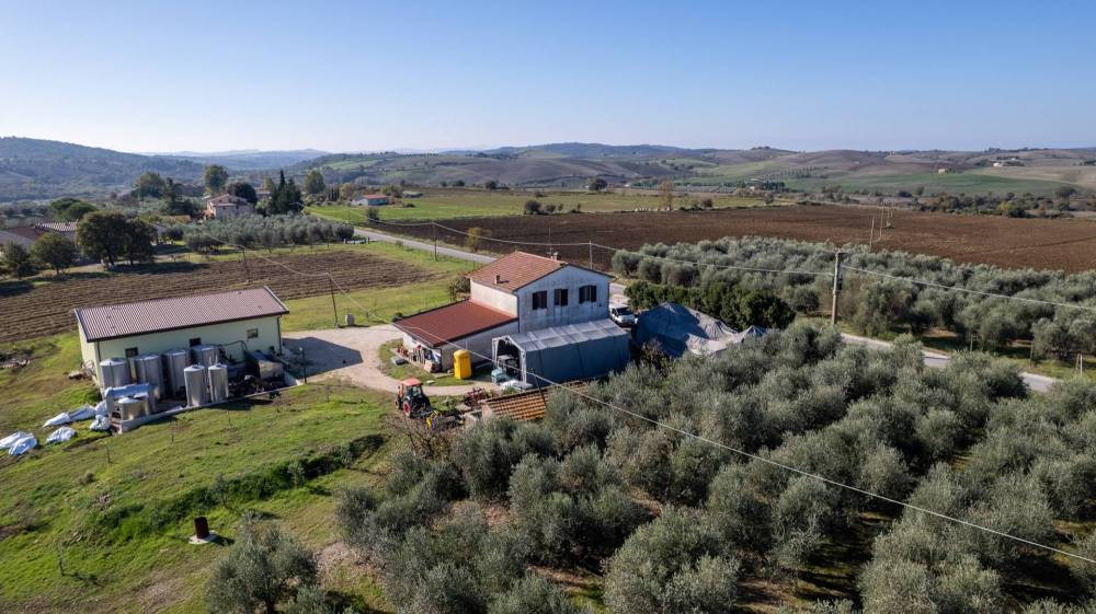 immagine annuncio 9 di 13