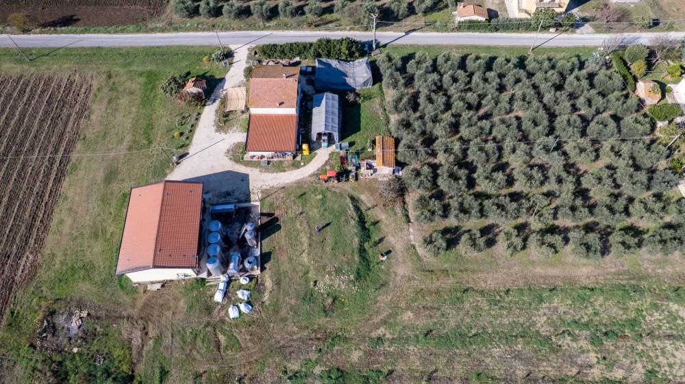 immagine annuncio 10 di 13