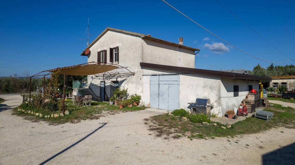 immagine annuncio 3 di 13