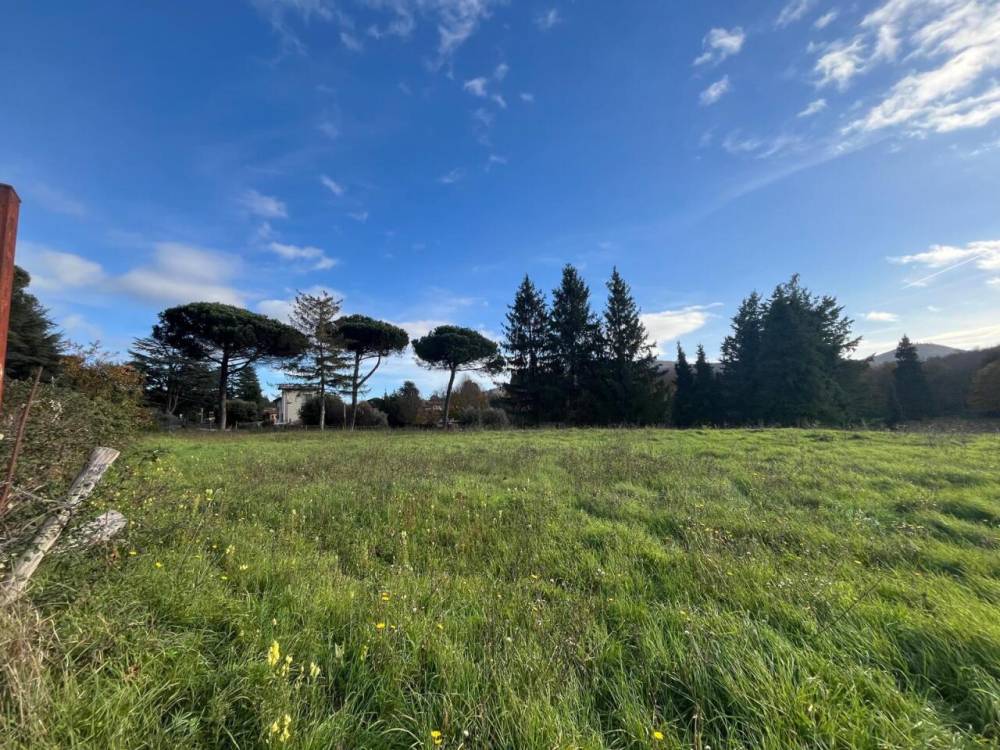 immagine annuncio 6 di 8