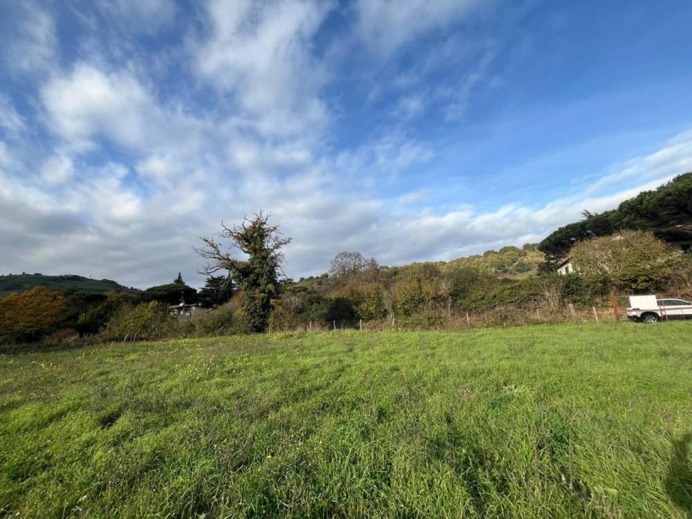 immagine annuncio 5 di 8