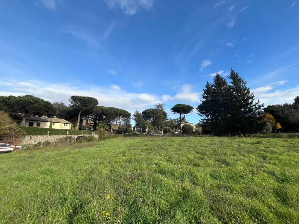 immagine annuncio 4 di 8