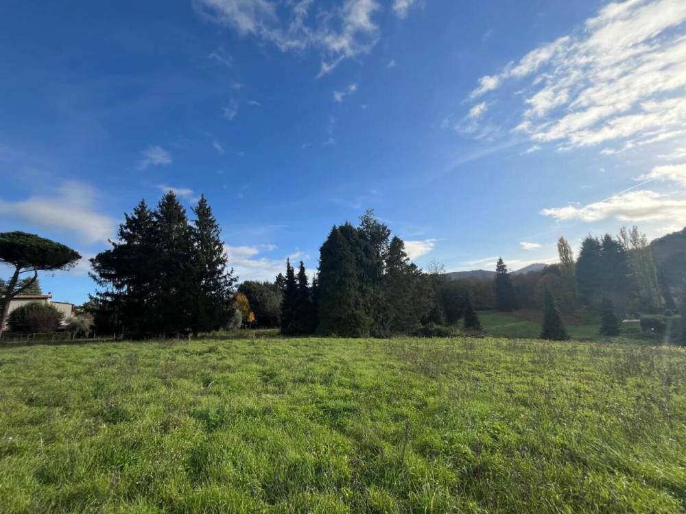 immagine annuncio 3 di 8