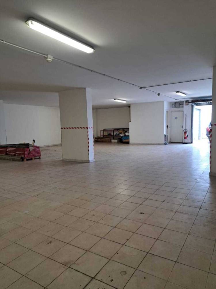 immagine annuncio 4 di 12