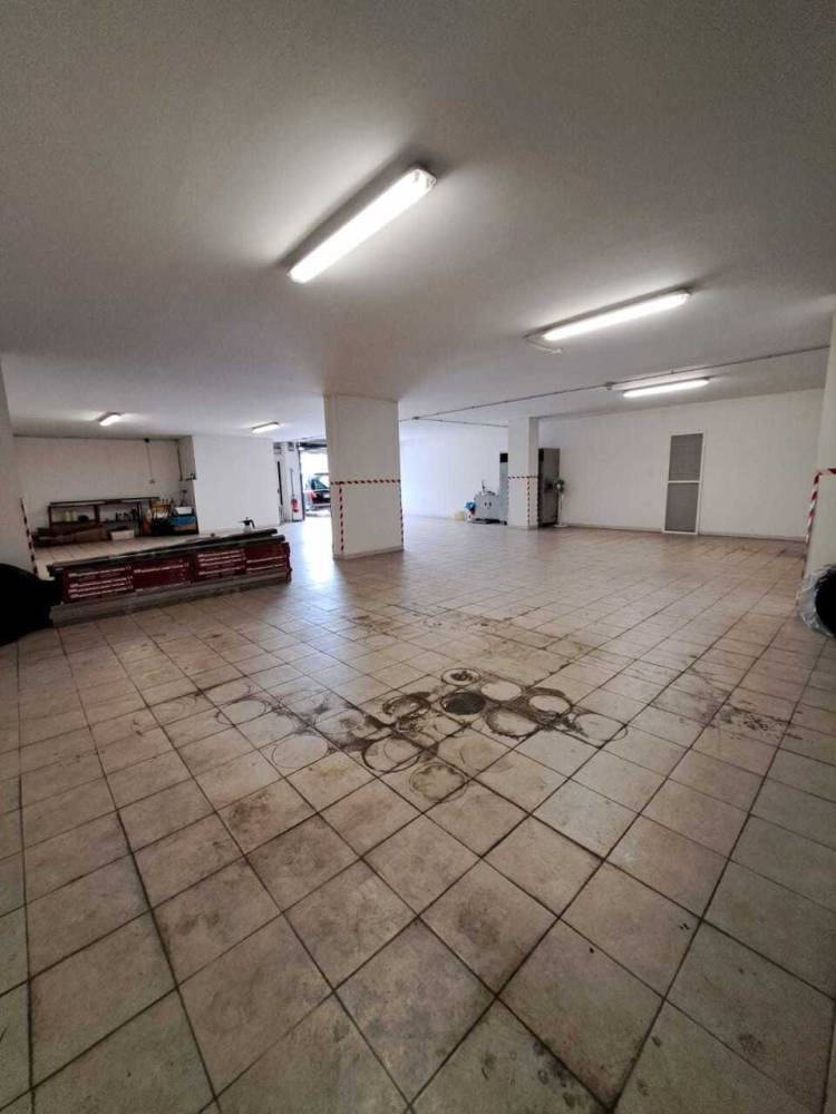 immagine annuncio 9 di 12