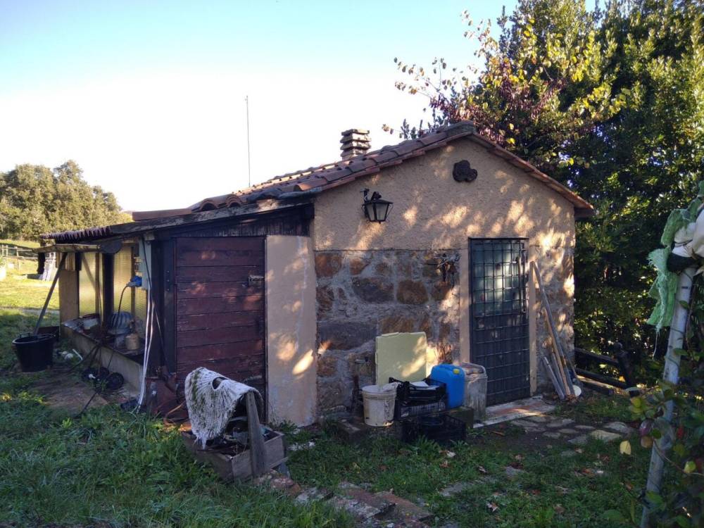 immagine annuncio 8 di 13