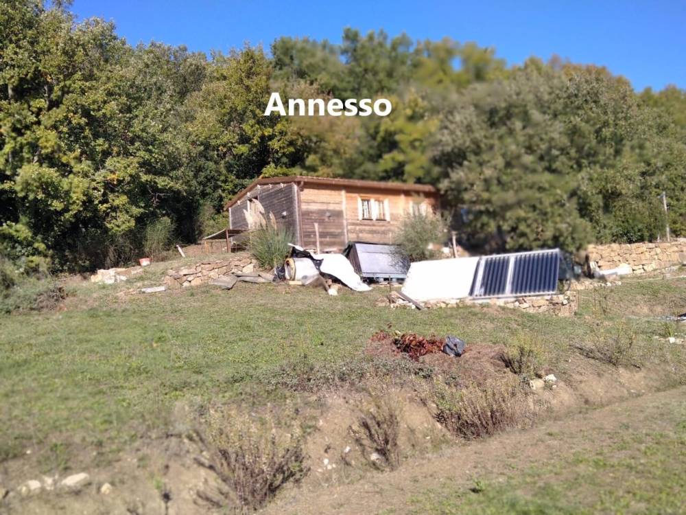 immagine annuncio 11 di 13