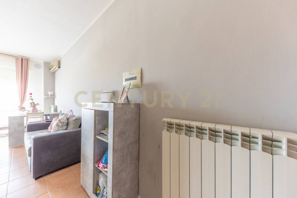 immagine annuncio 12 di 13