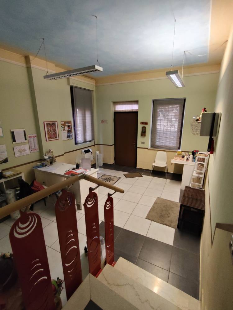 immagine annuncio 12 di 13