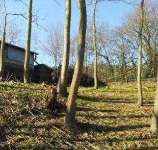 immagine annuncio 4 di 13