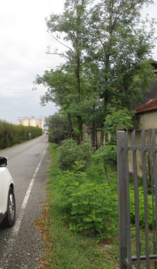 immagine annuncio 3 di 13