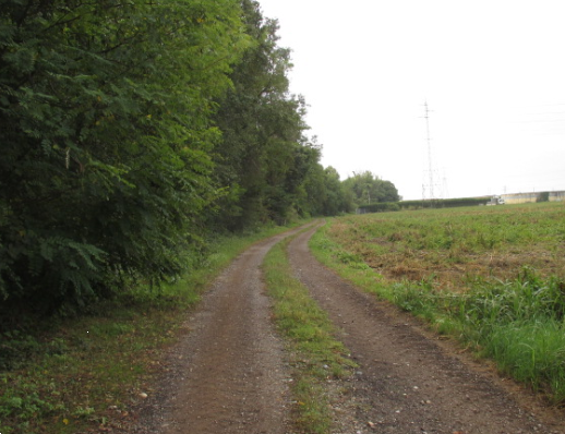 immagine annuncio 1 di 13