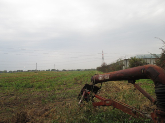 immagine annuncio 2 di 13