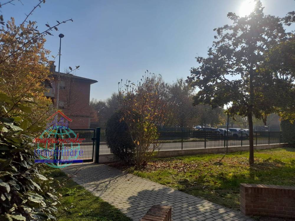 immagine annuncio 2 di 13