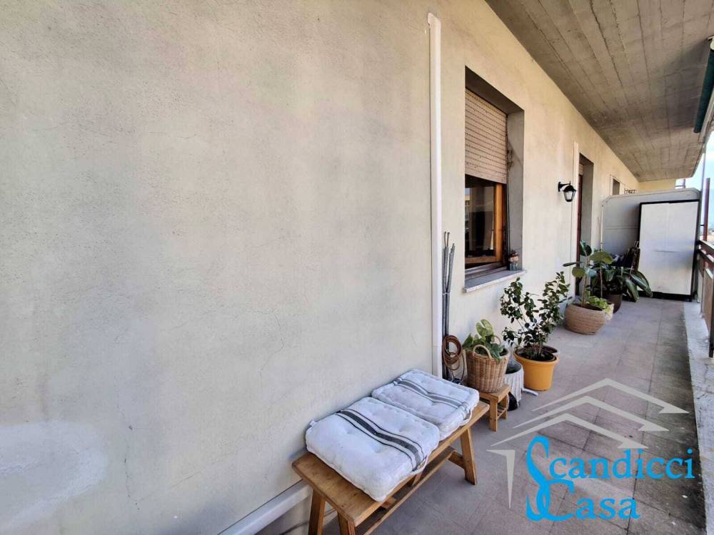 immagine annuncio 3 di 13