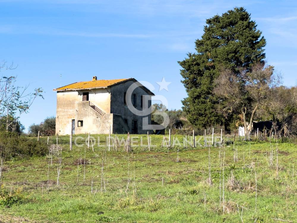 immagine annuncio 6 di 13