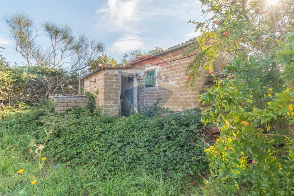 immagine annuncio 8 di 13