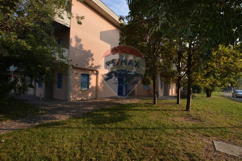 immagine annuncio 4 di 13