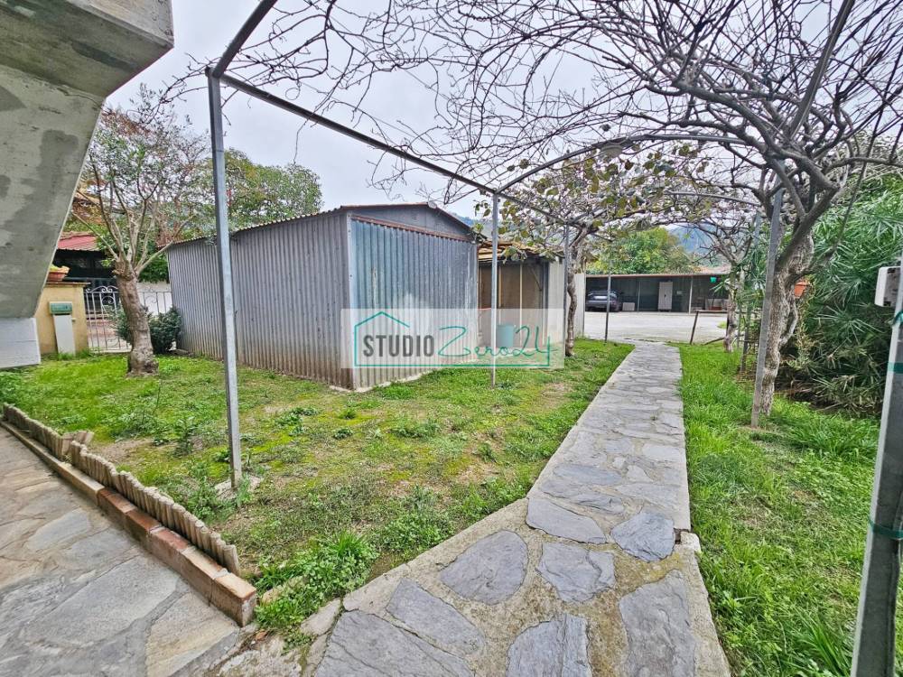 immagine annuncio 9 di 13