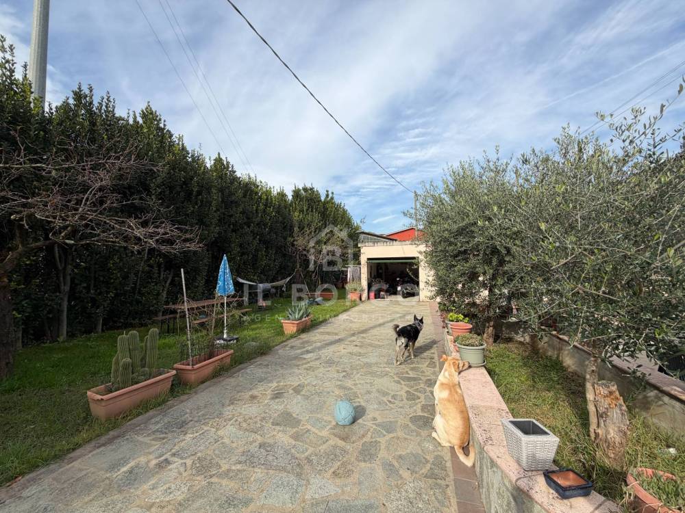 immagine annuncio 7 di 13