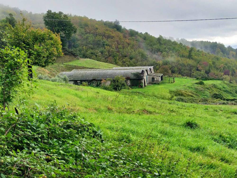 immagine annuncio 4 di 13