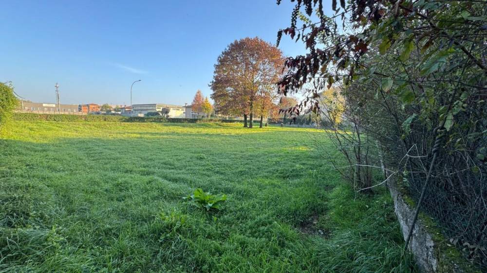 immagine annuncio 1 di 4