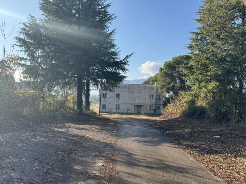 immagine annuncio 10 di 13