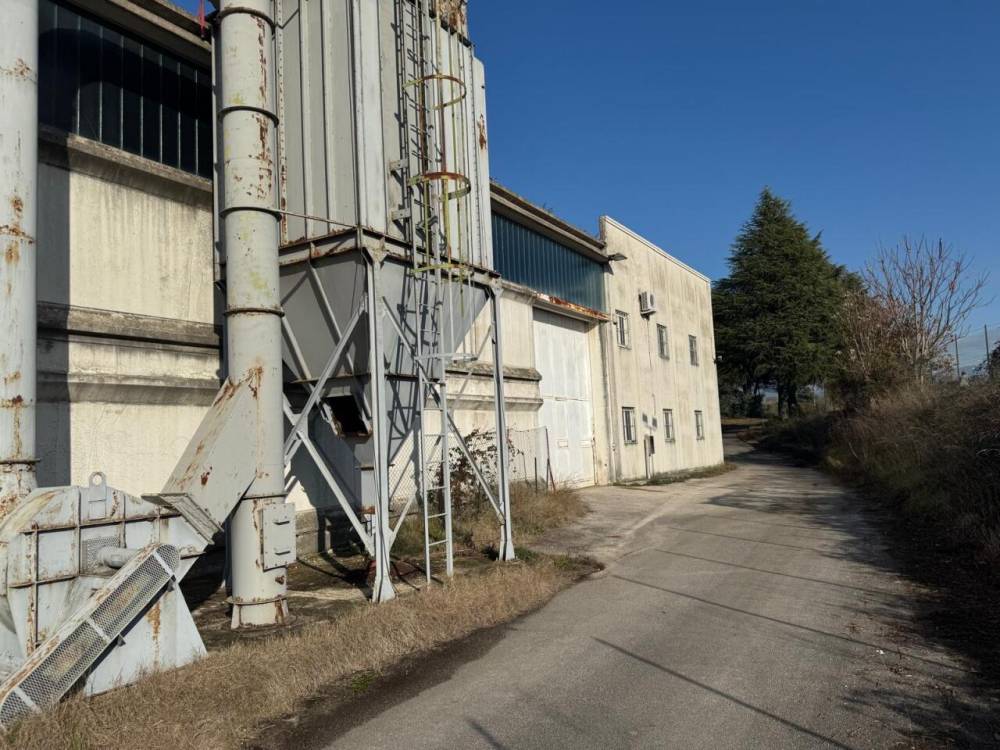 immagine annuncio 7 di 13