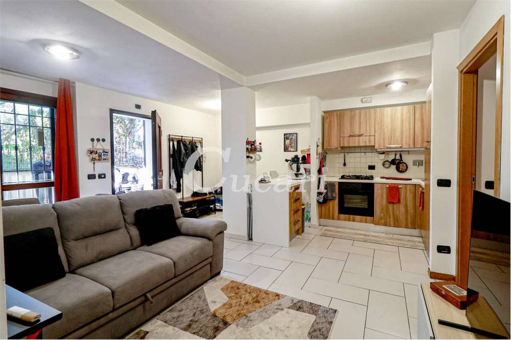 immagine annuncio 12 di 13