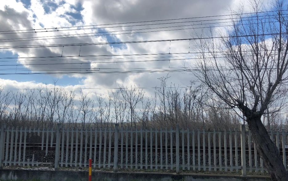 immagine annuncio 2 di 13