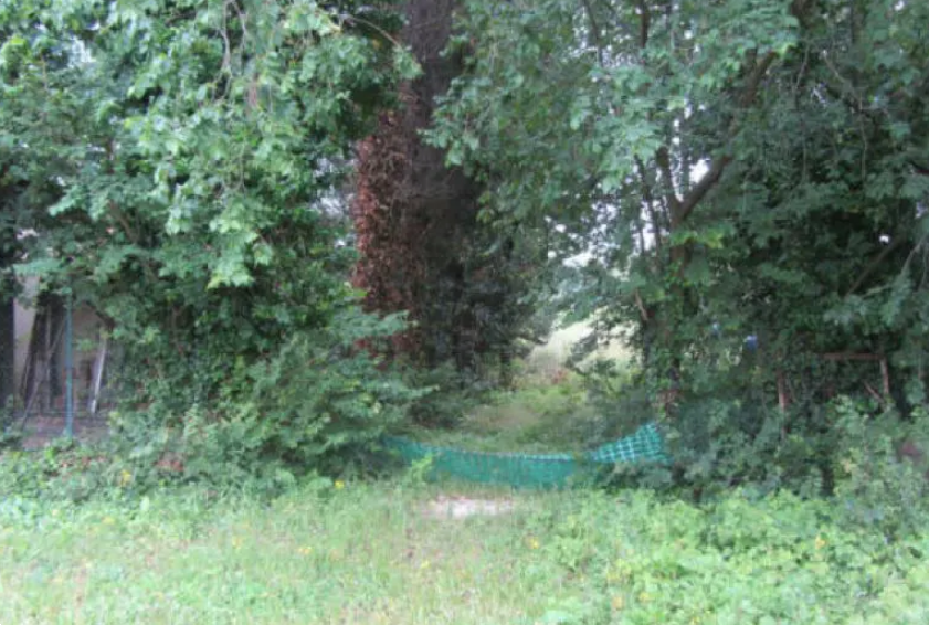 immagine annuncio 1 di 13