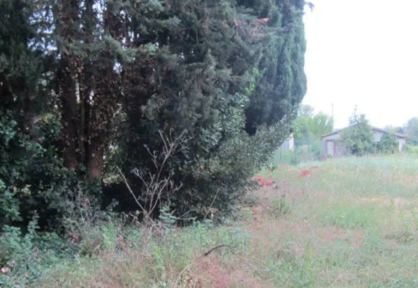 immagine annuncio 3 di 13