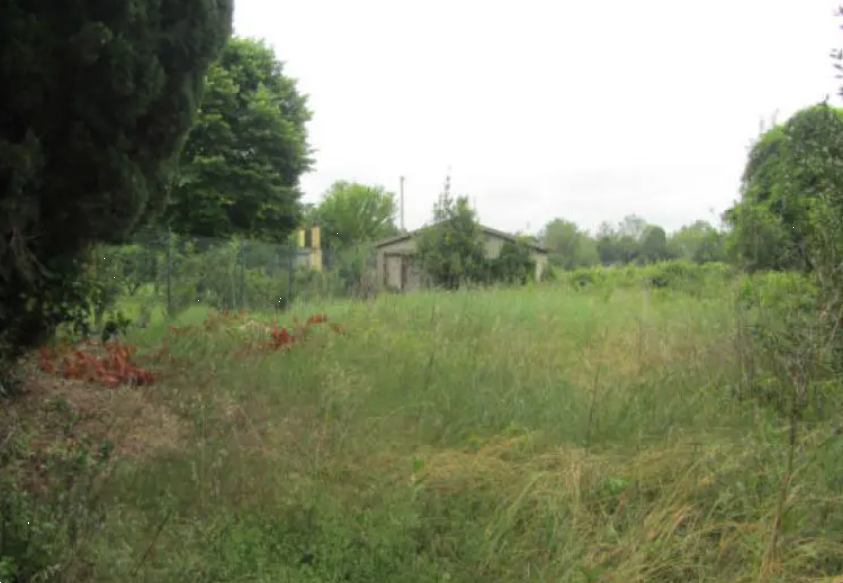 immagine annuncio 5 di 13