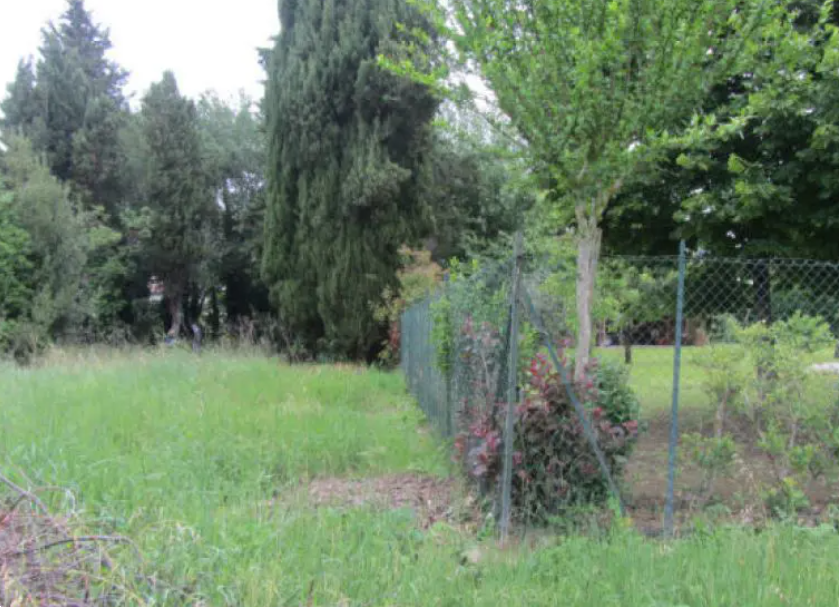 immagine annuncio 8 di 13