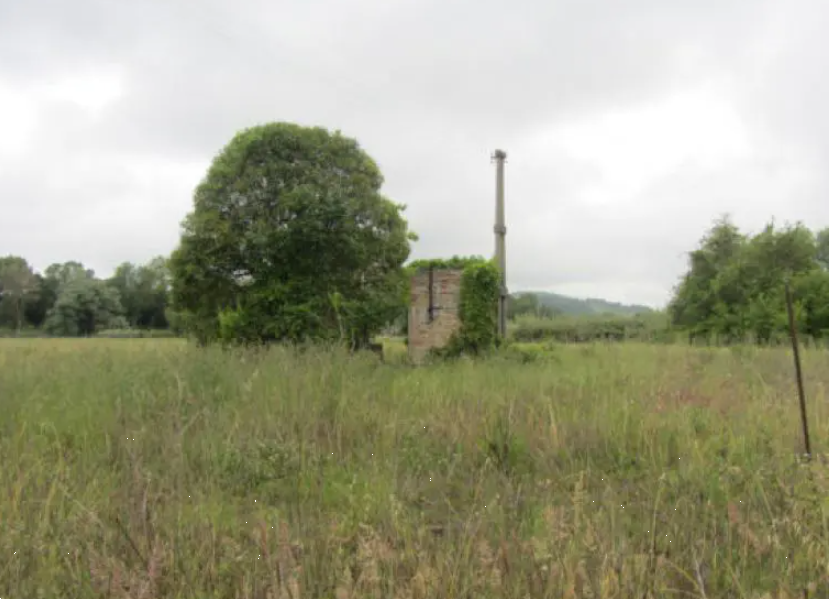 immagine annuncio 9 di 13