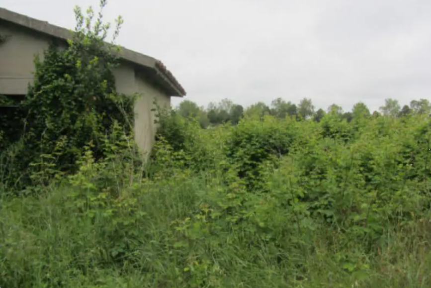 immagine annuncio 10 di 13