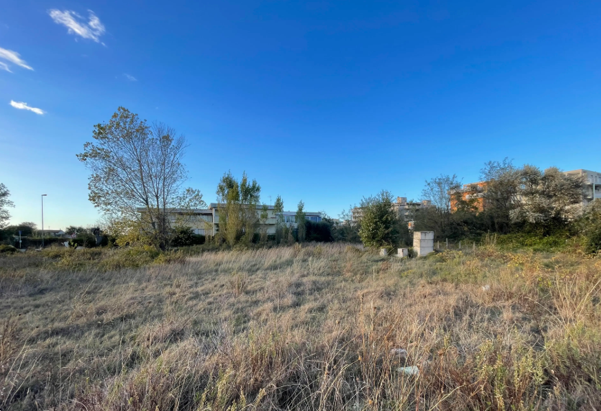 immagine annuncio 5 di 13