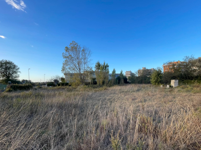 immagine annuncio 6 di 13