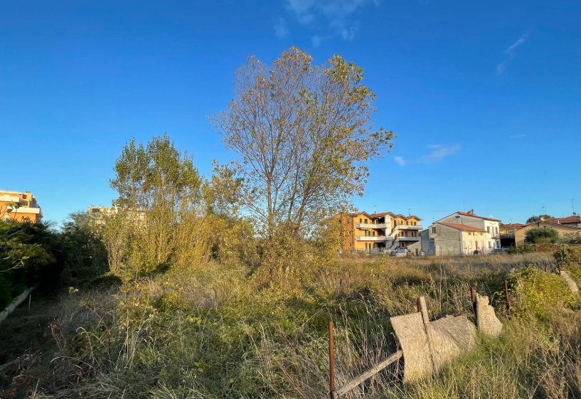 immagine annuncio 9 di 13