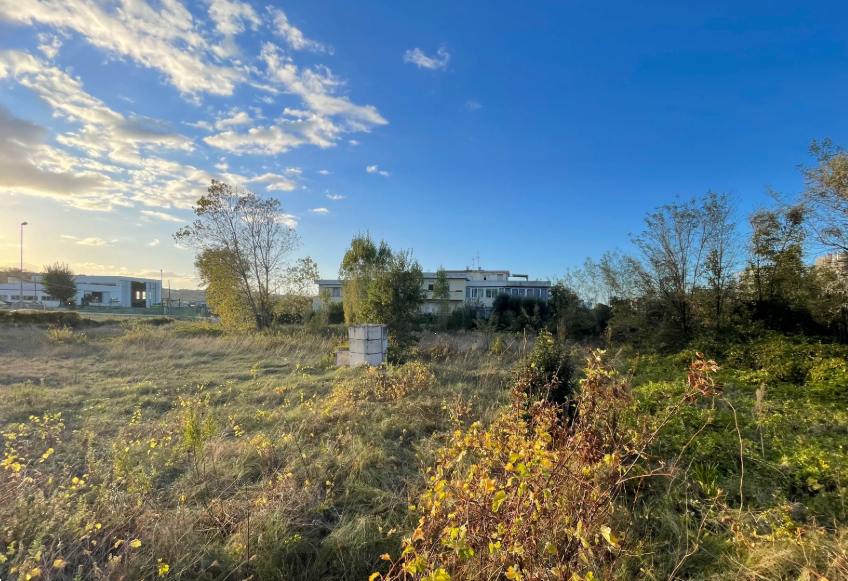 immagine annuncio 10 di 13