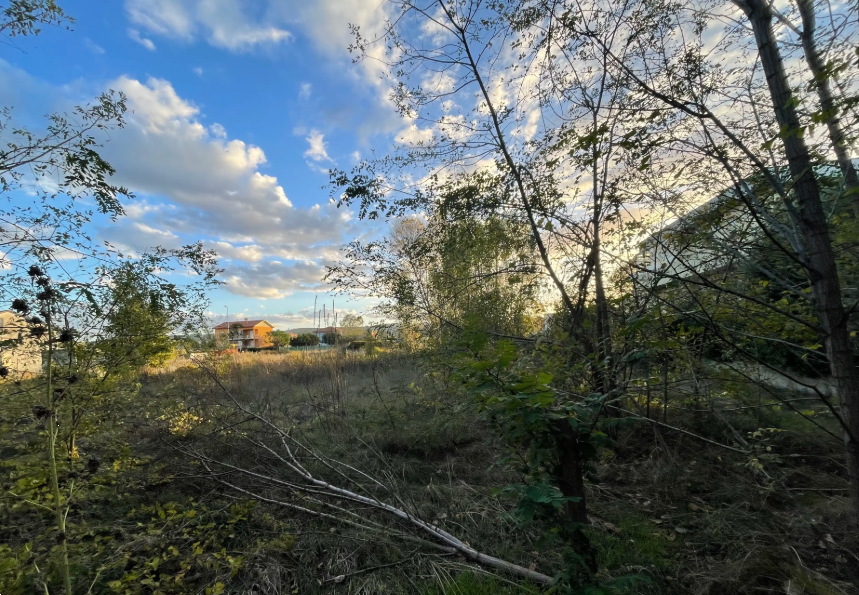 immagine annuncio 12 di 13