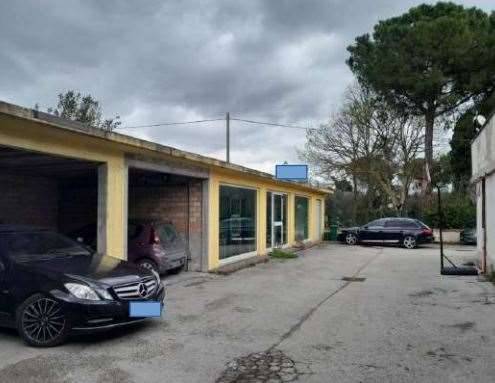 immagine annuncio 3 di 13