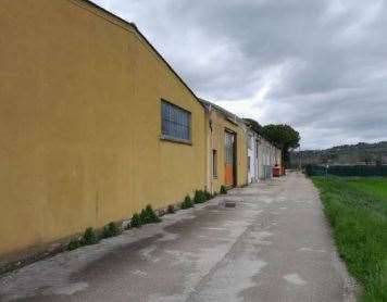 immagine annuncio 6 di 13