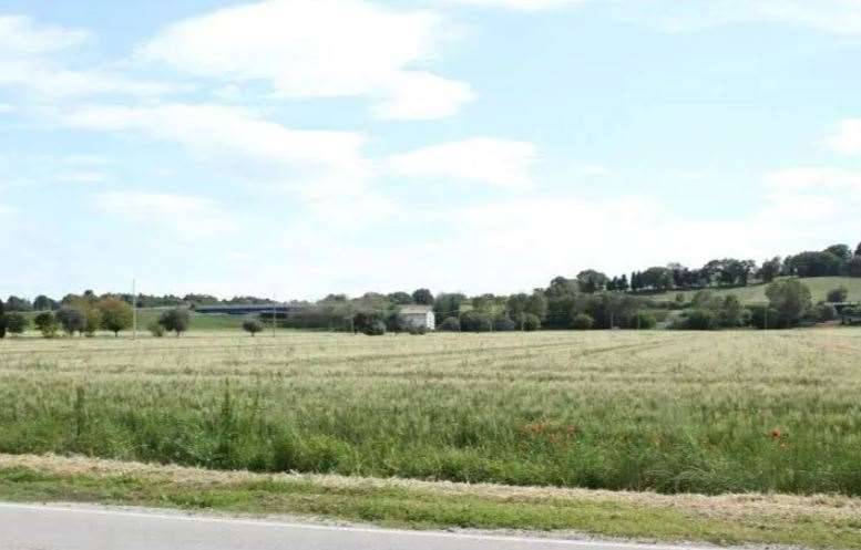 immagine annuncio 1 di 13