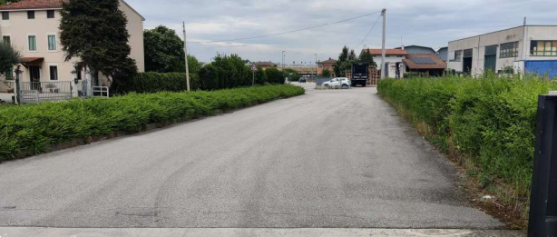 immagine annuncio 1 di 13