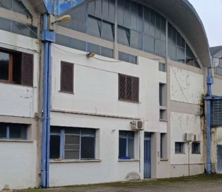 immagine annuncio 10 di 13