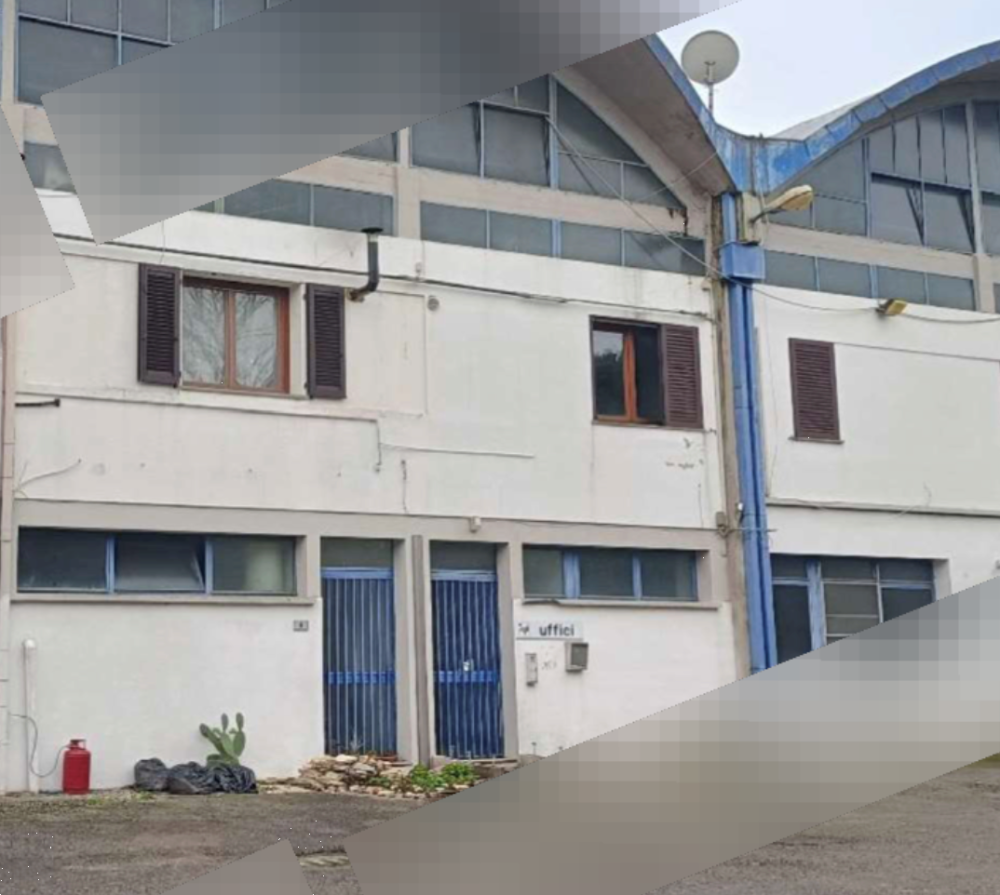 immagine annuncio 12 di 13