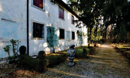 immagine annuncio 1 di 13